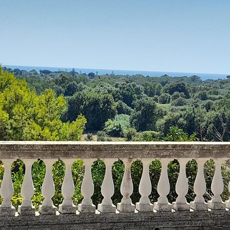 Villa Filomena Montecorice Ngoại thất bức ảnh