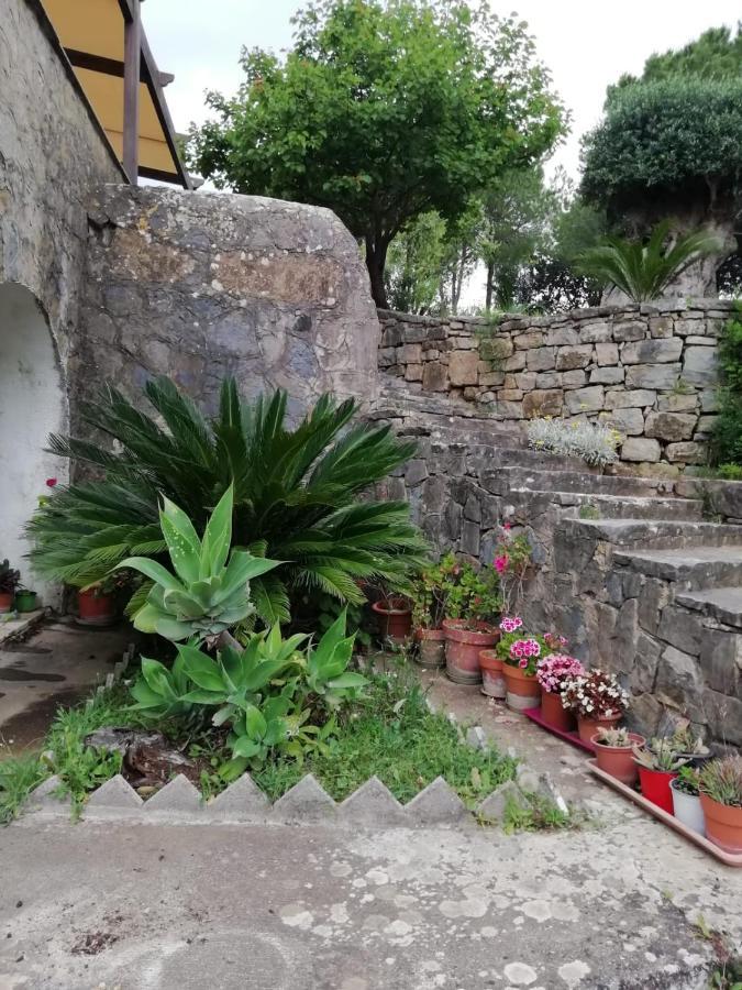 Villa Filomena Montecorice Ngoại thất bức ảnh